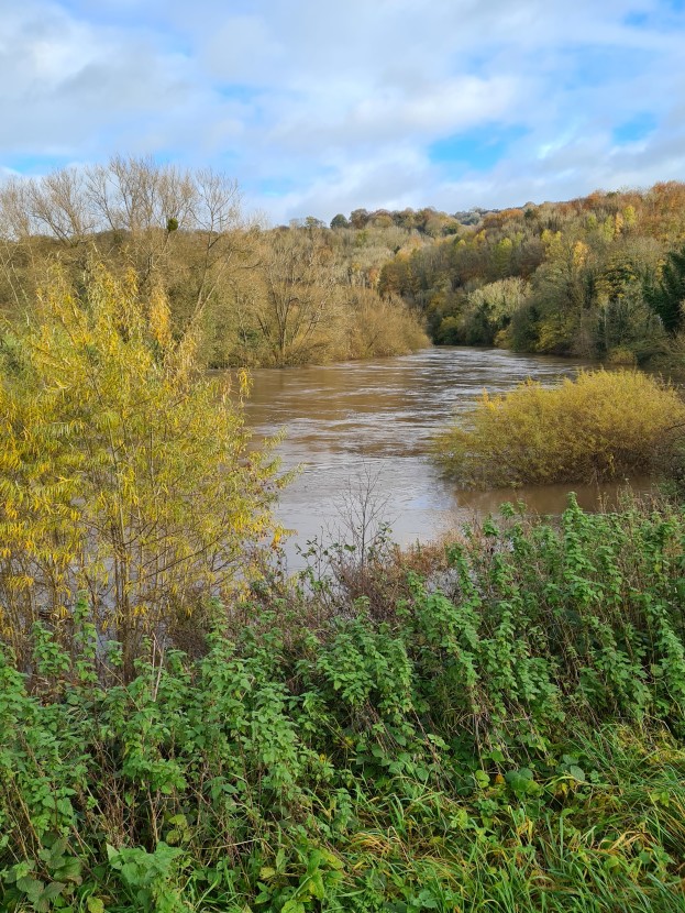 Middle Wye in flood
